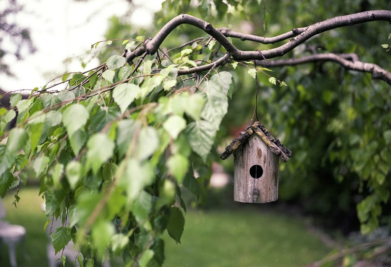 DIY birdhouse
